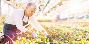 Continuer de travailler après la retraite : les possibilités pour augmenter sa pension de vieillesse